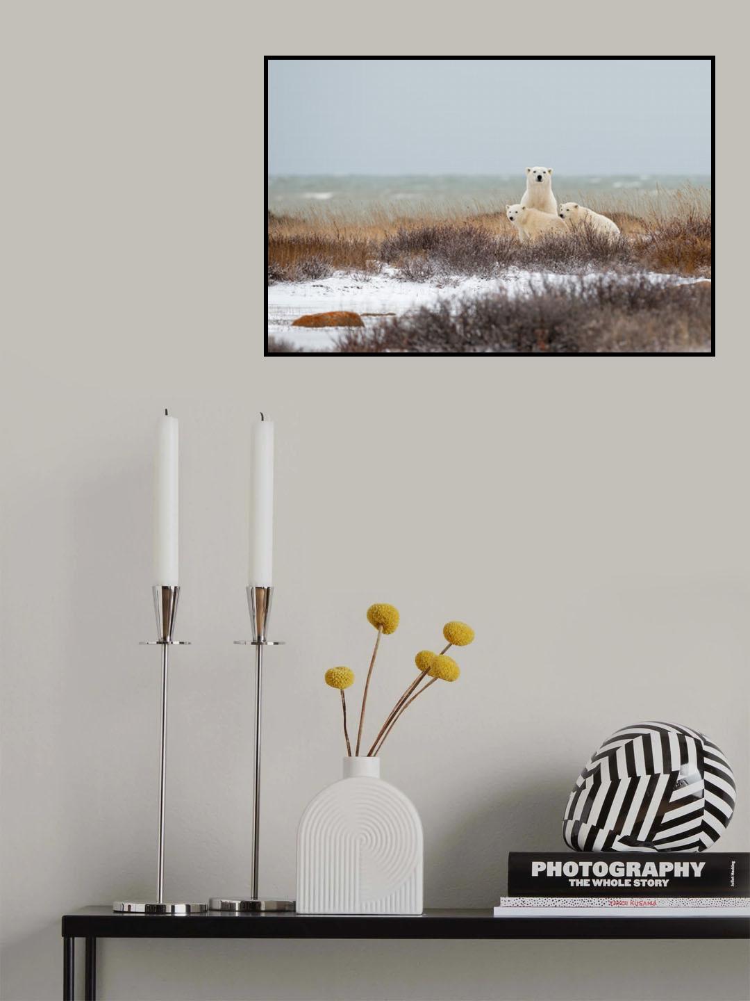 The family in the wind Poster och Canvastavla