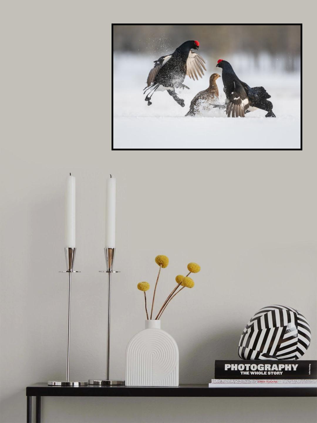 The object of the dispute Poster och Canvastavla