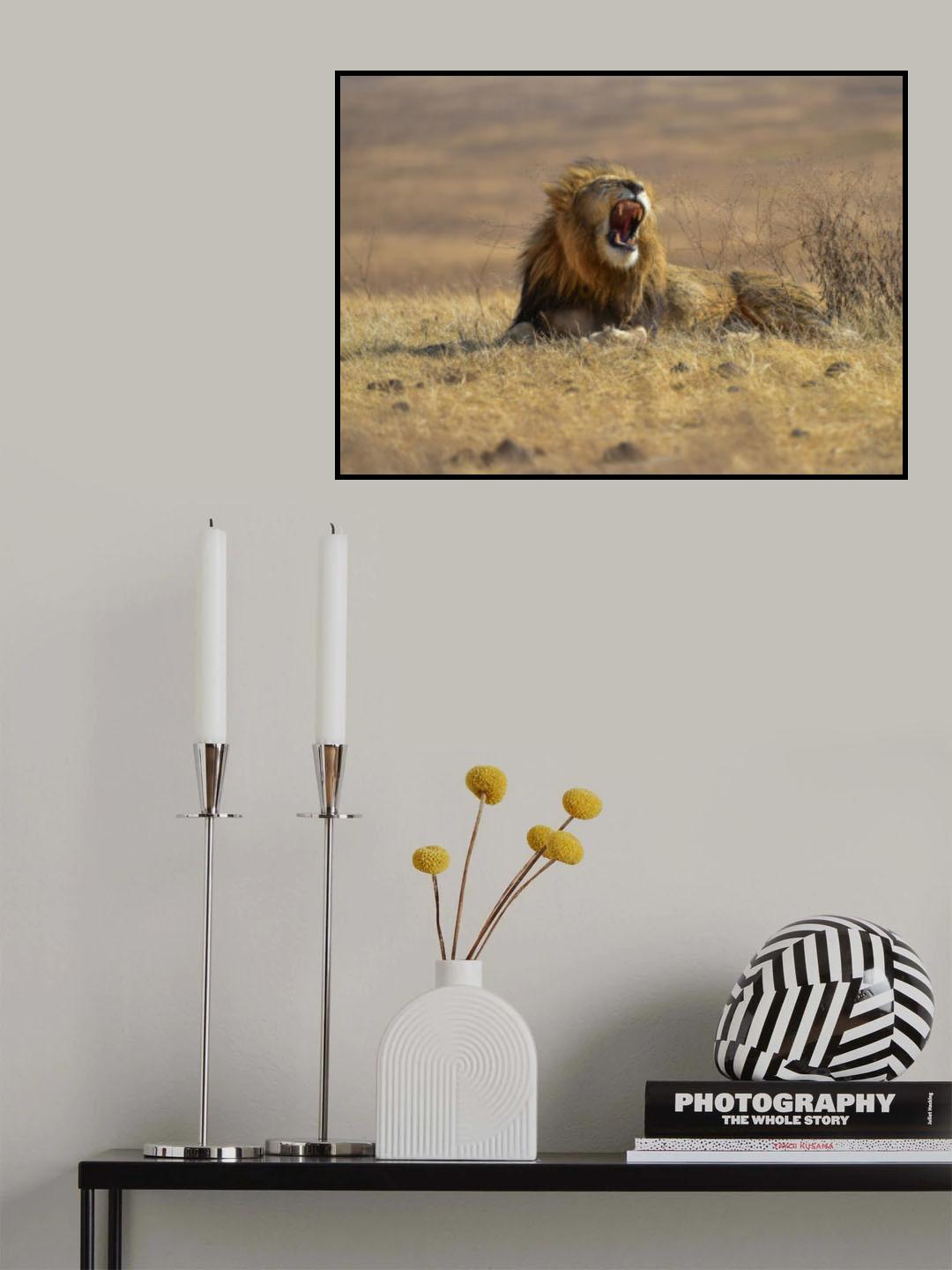 The King of Ngorongoro Crater Poster och Canvastavla