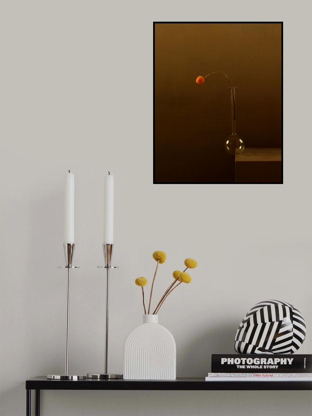 Teetering on the Edge Poster och Canvastavla