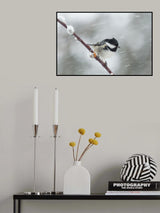 Winter and spring in one shot! Poster och Canvastavla