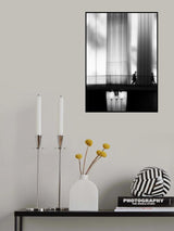 Evening walk Poster och Canvastavla