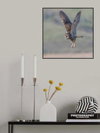searching for prey Poster och Canvastavla