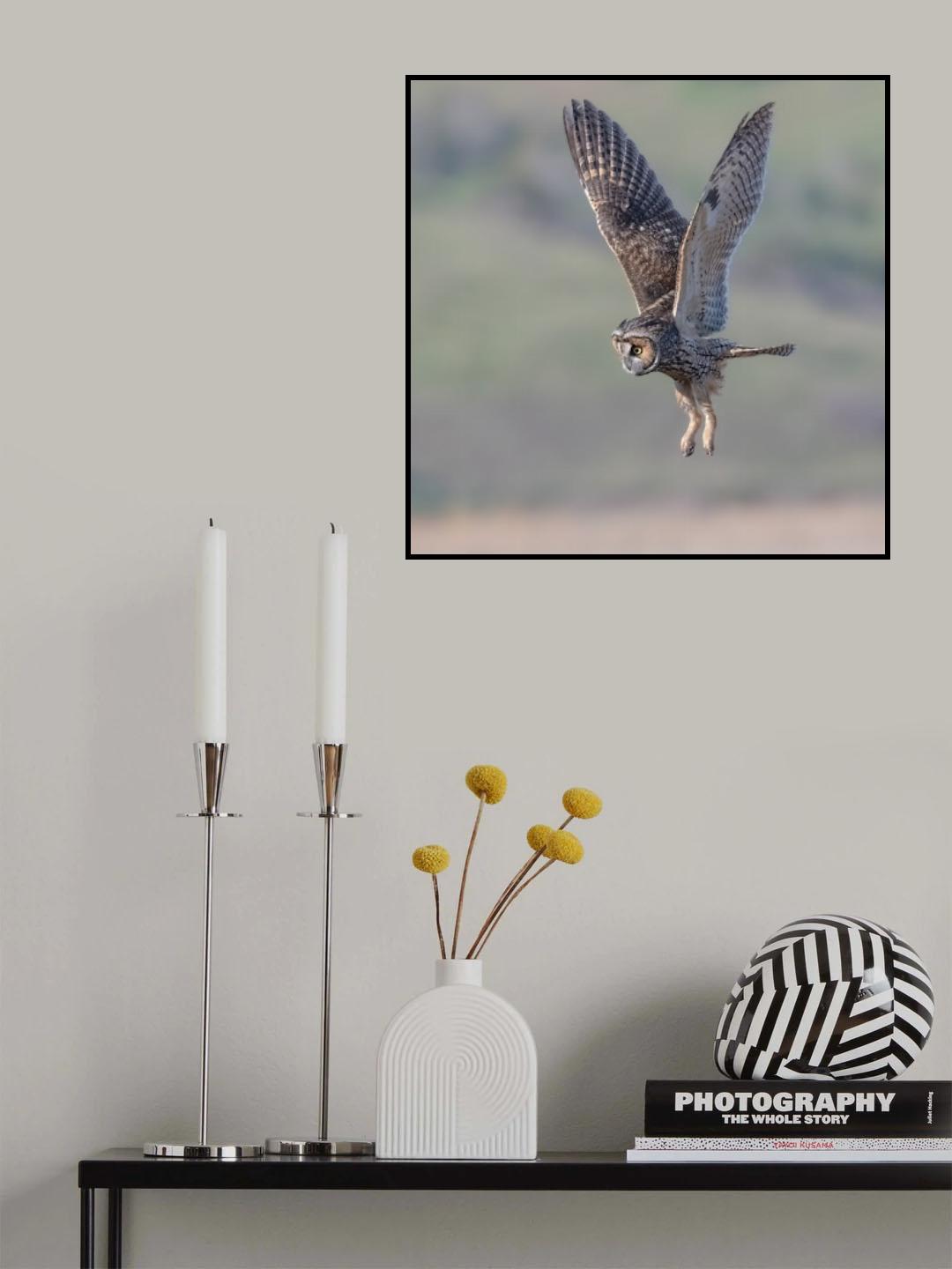 searching for prey Poster och Canvastavla