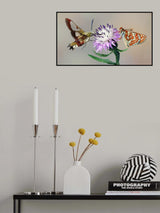 Duet Poster och Canvastavla
