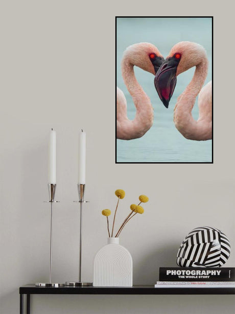 One face two eye Poster och Canvastavla