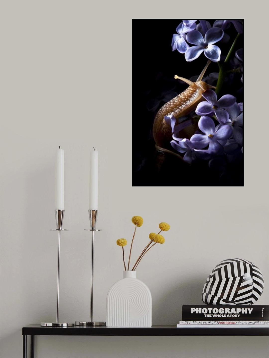 Posing Poster och Canvastavla