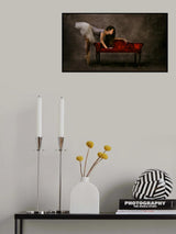 Puchy in ballet Poster och Canvastavla