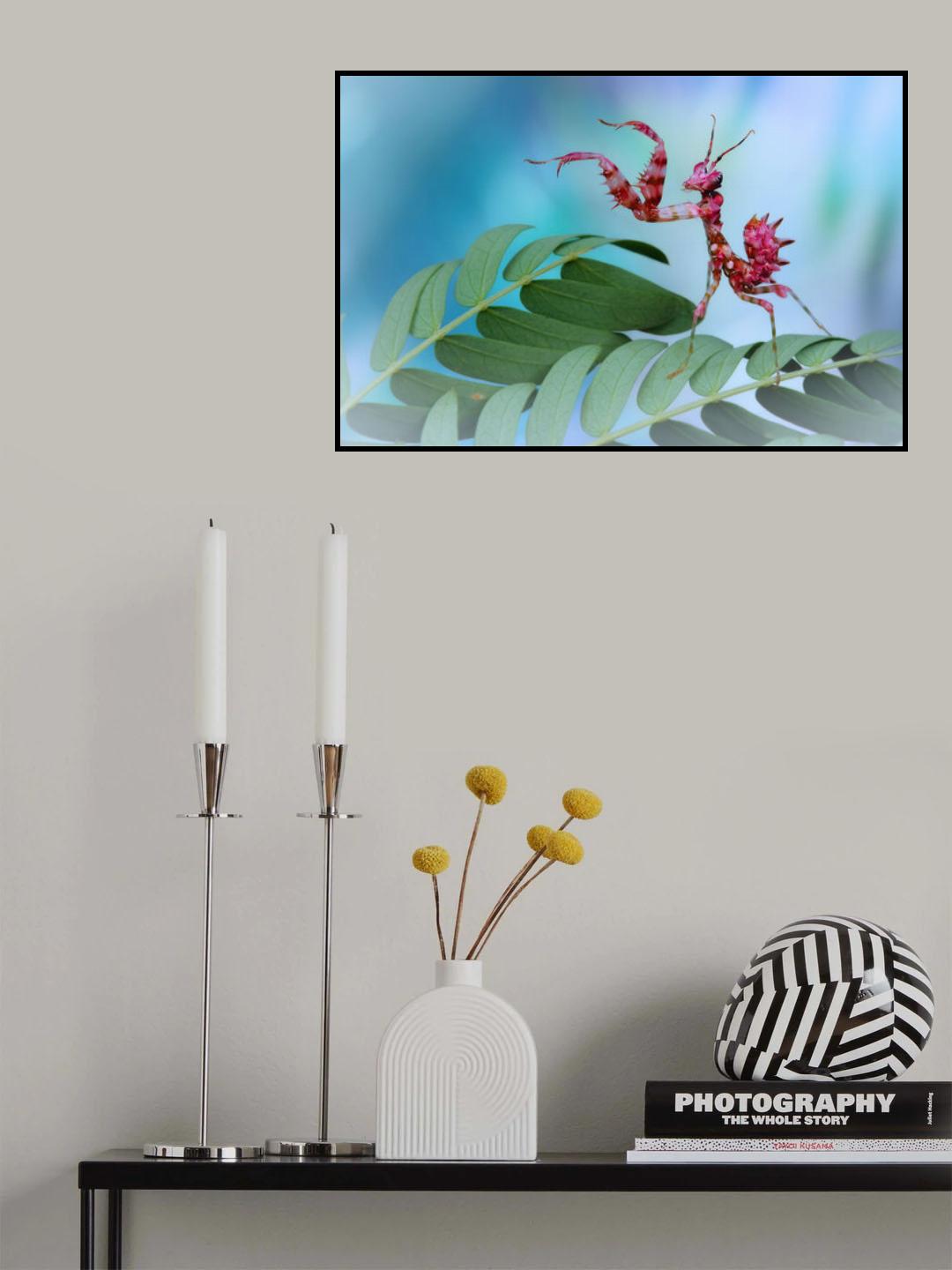 Kung fu mantis Poster och Canvastavla