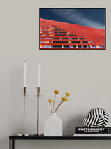 Calypso Poster och Canvastavla