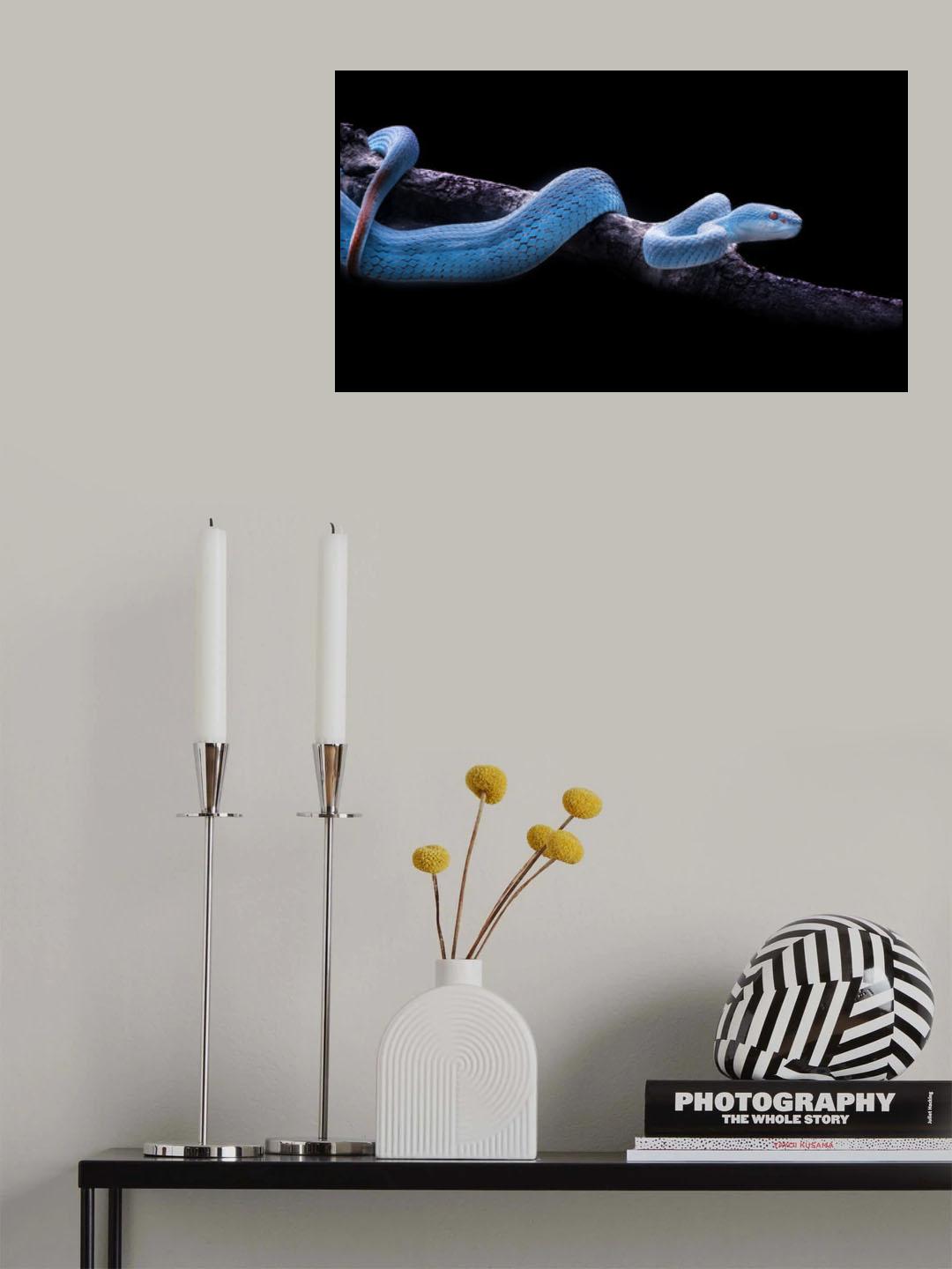 Slide and Steady Poster och Canvastavla