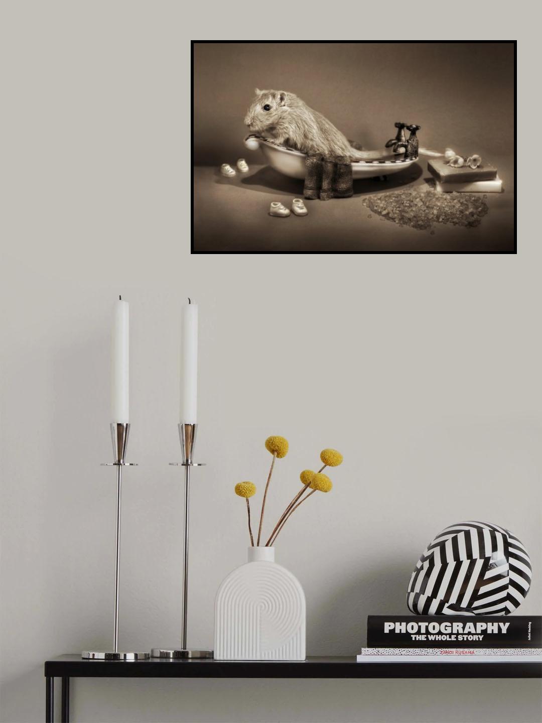 Poster och Canvastavla