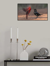 Black and Red 2 Poster och Canvastavla