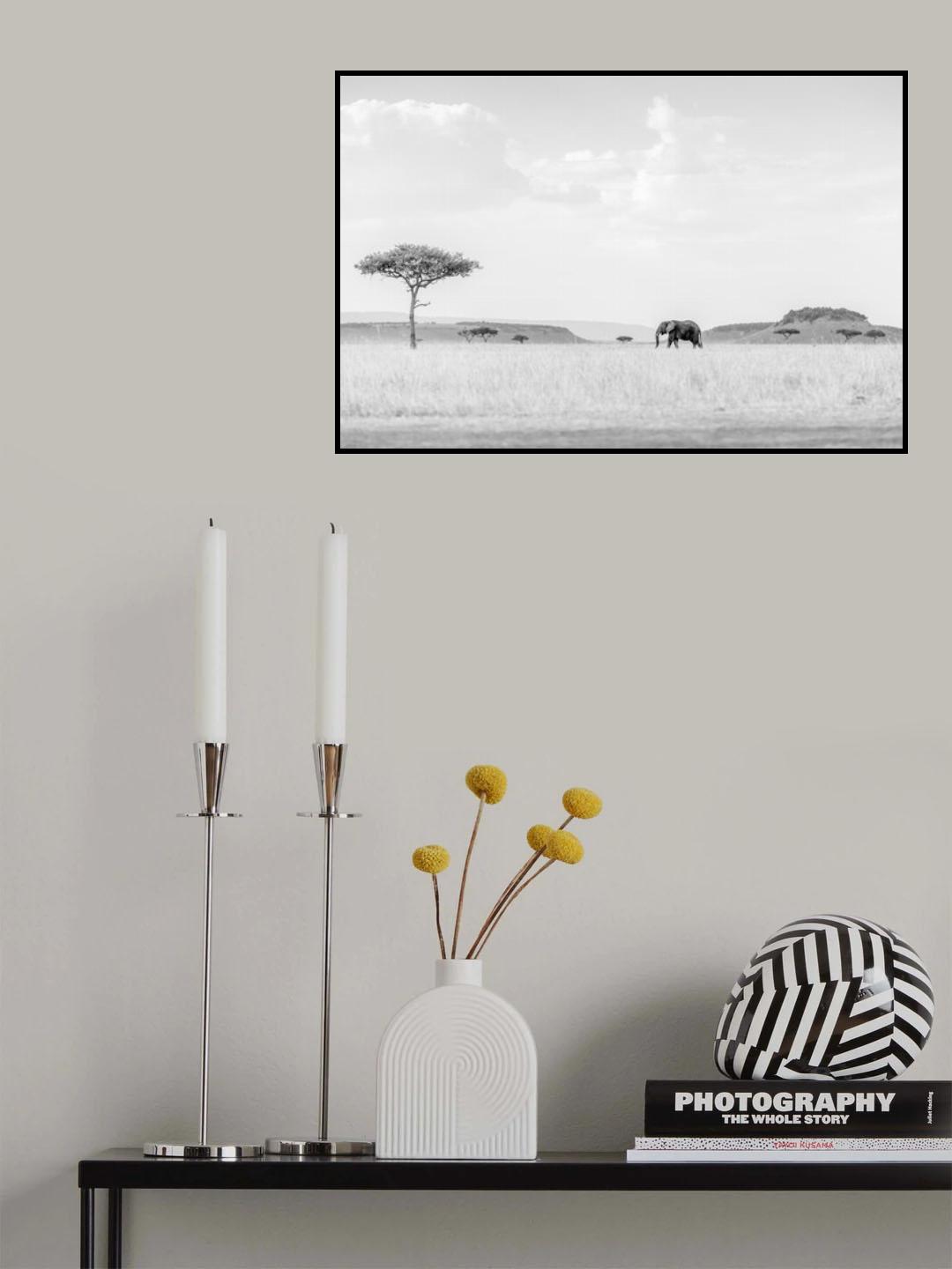 HIGH KEY SAVANNAH Poster och Canvastavla