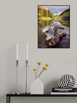 Life Cycle Poster och Canvastavla