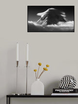 Big hat Poster och Canvastavla