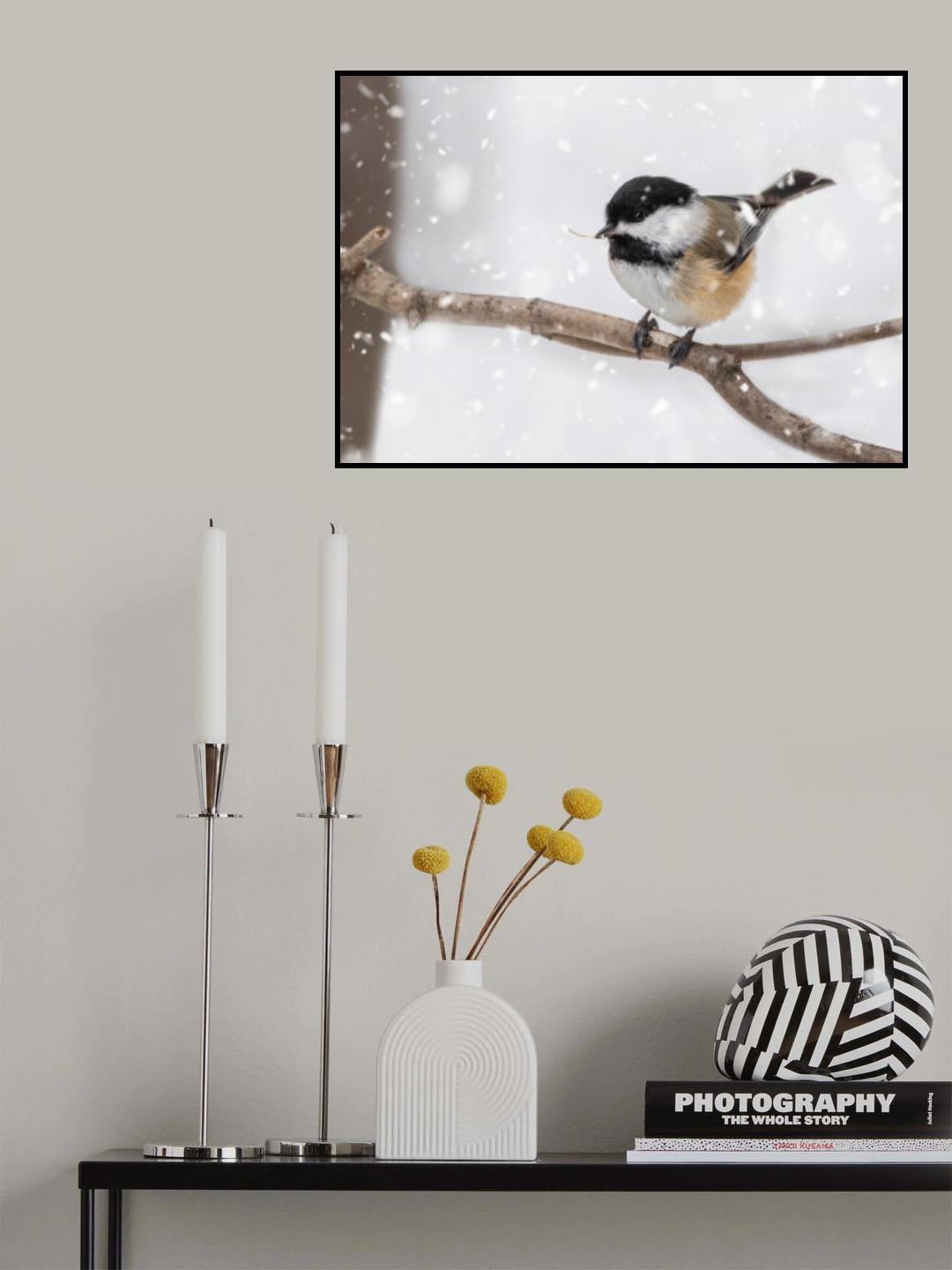Black-Capped Chickadee in Snow Poster och Canvastavla