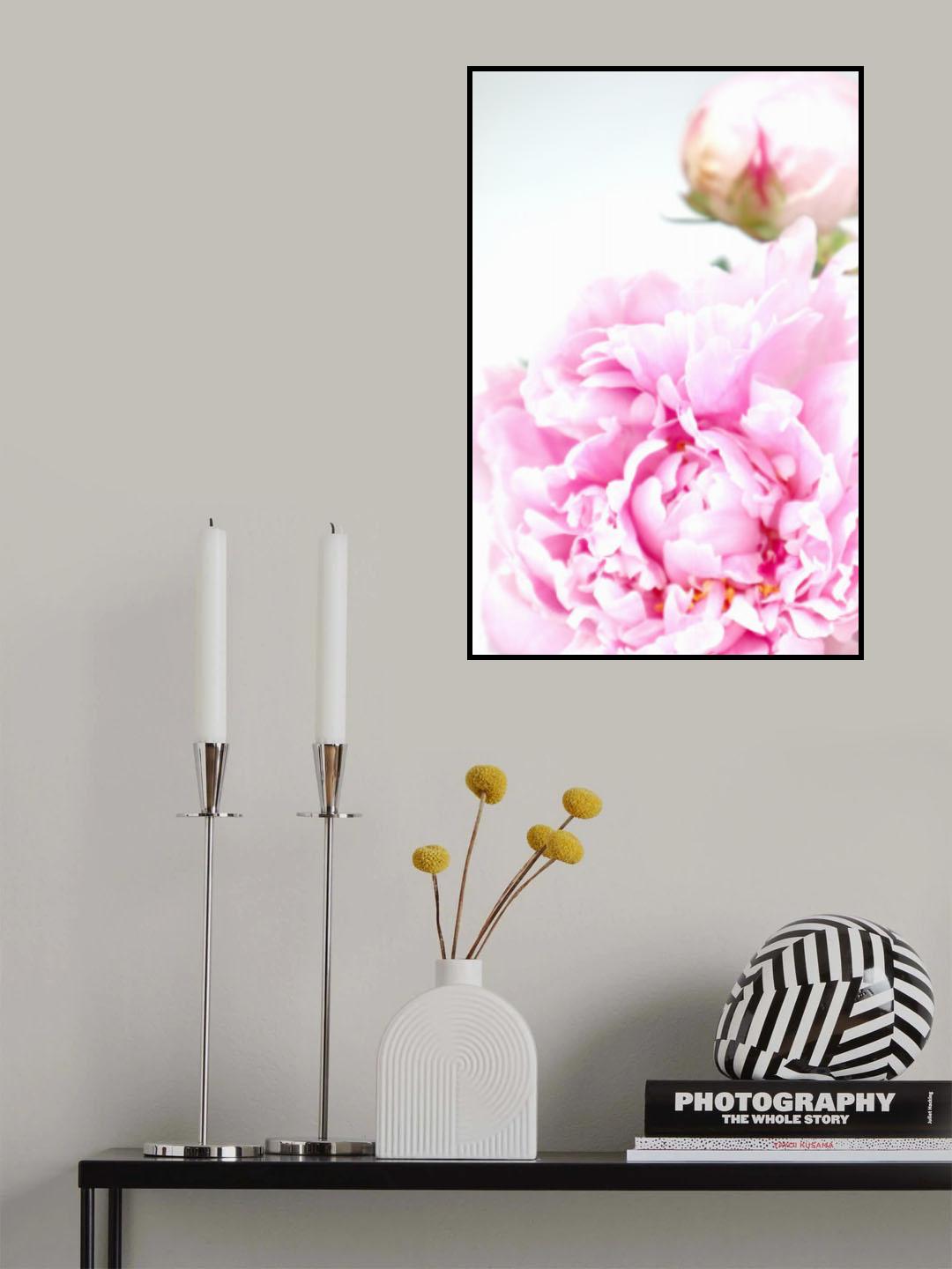 Pink peony IX Poster och Canvastavla