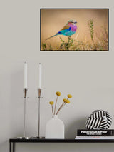 Flying rainbow Poster och Canvastavla