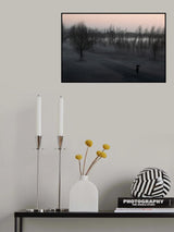 choice Poster och Canvastavla