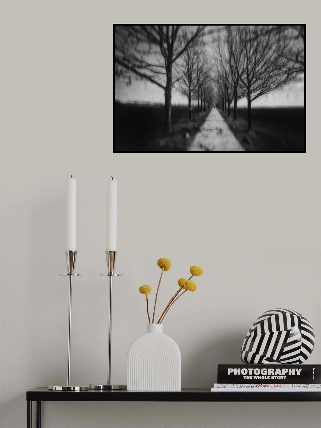 Stepping Through The Shadows Poster och Canvastavla