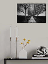 Stepping Through The Shadows Poster och Canvastavla
