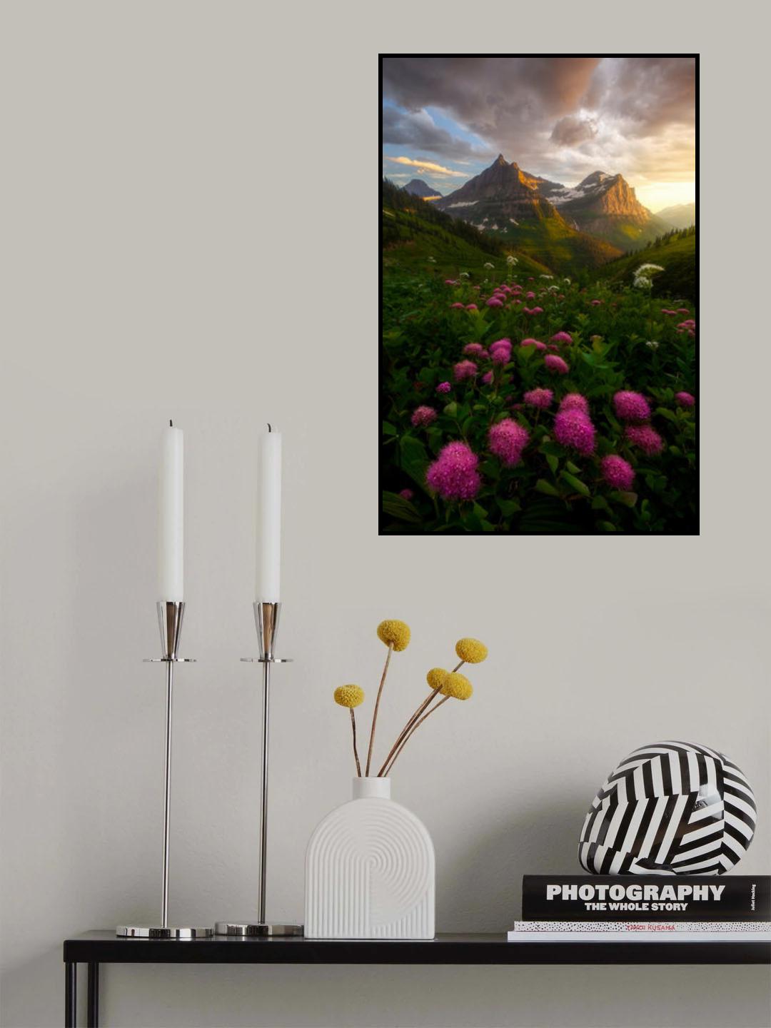 As It Fades Poster och Canvastavla