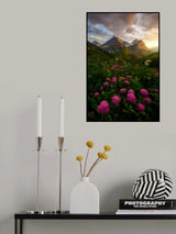 As It Fades Poster och Canvastavla