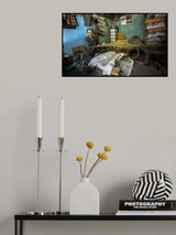 whisk Poster och Canvastavla