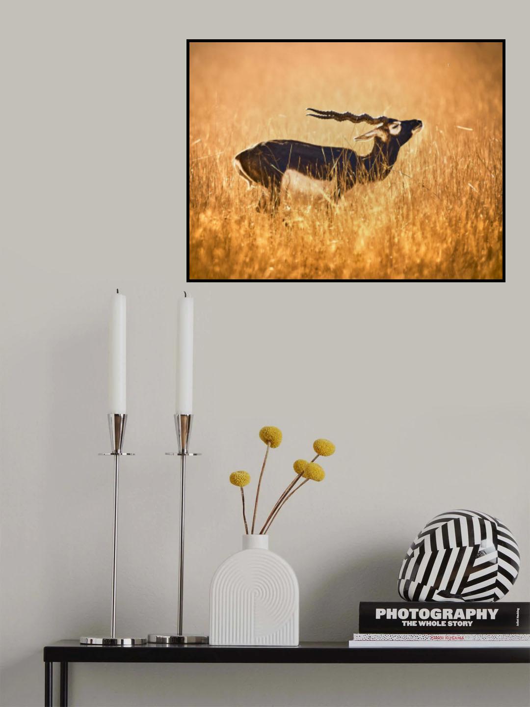 Golden Paradise Poster och Canvastavla