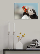 Puffin Lovin Poster och Canvastavla