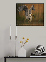 Captured Poster och Canvastavla