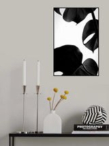 Contrasty Monstera Poster och Canvastavla