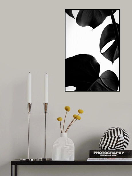 Contrasty Monstera Poster och Canvastavla
