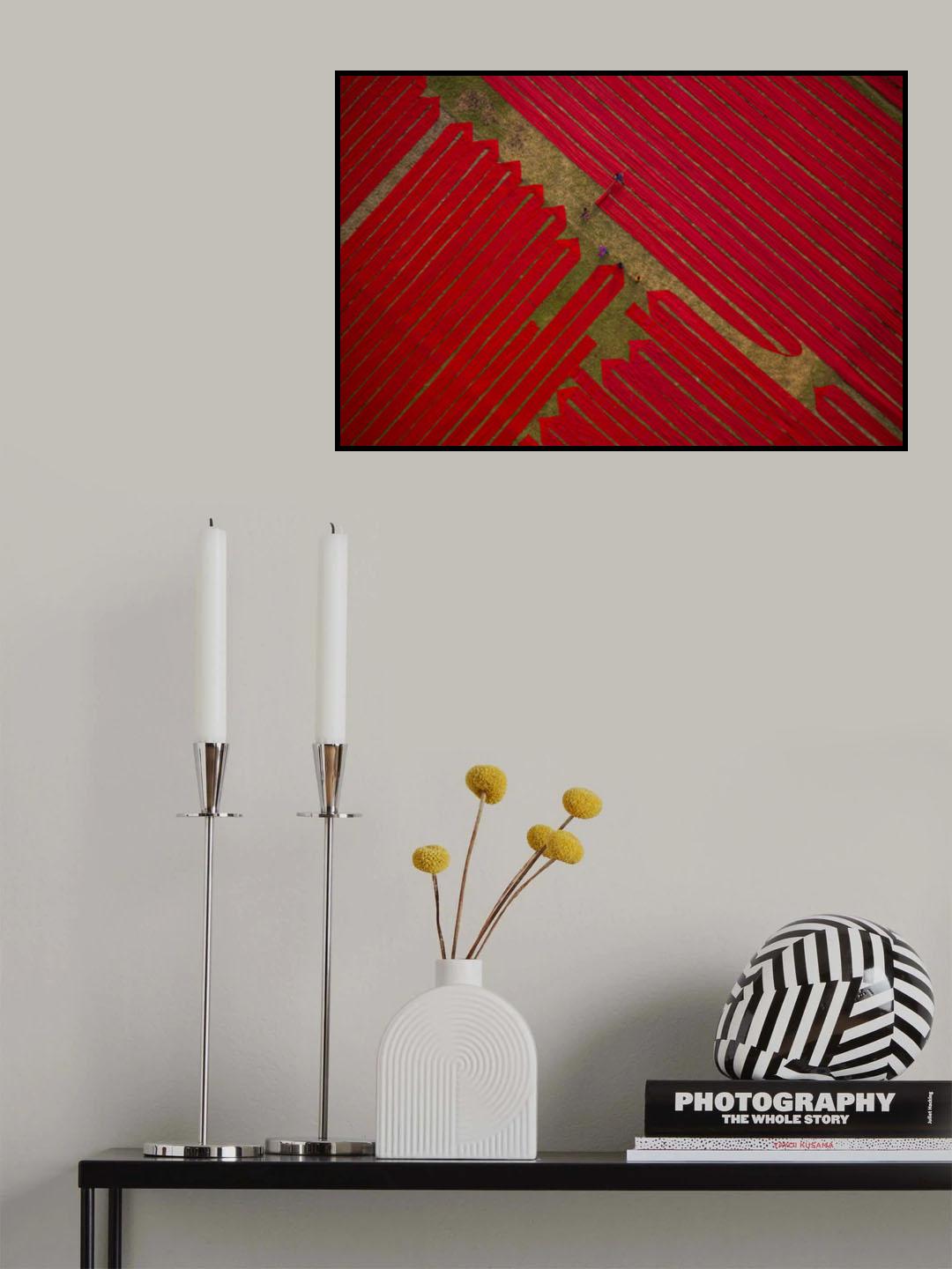 Red cloths Poster och Canvastavla