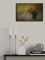 Pollard willow Poster och Canvastavla