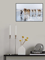 Caravan of salt Poster och Canvastavla
