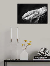 Waiting Patiently Poster och Canvastavla