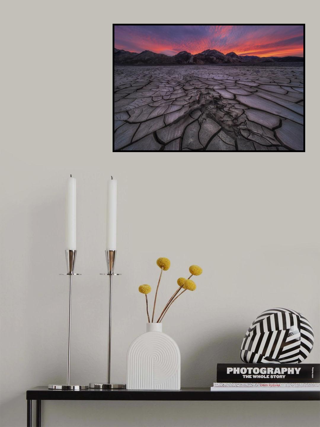 Dry Land Poster och Canvastavla