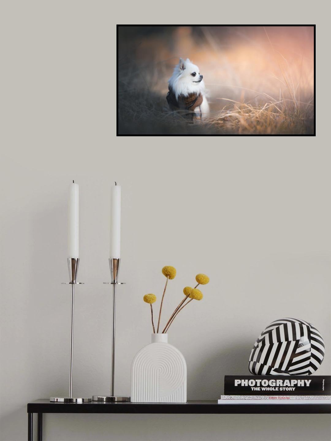 Sunny spot Poster och Canvastavla