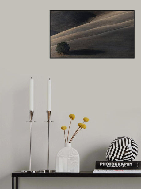 Soon my shadow will dissolve Poster och Canvastavla