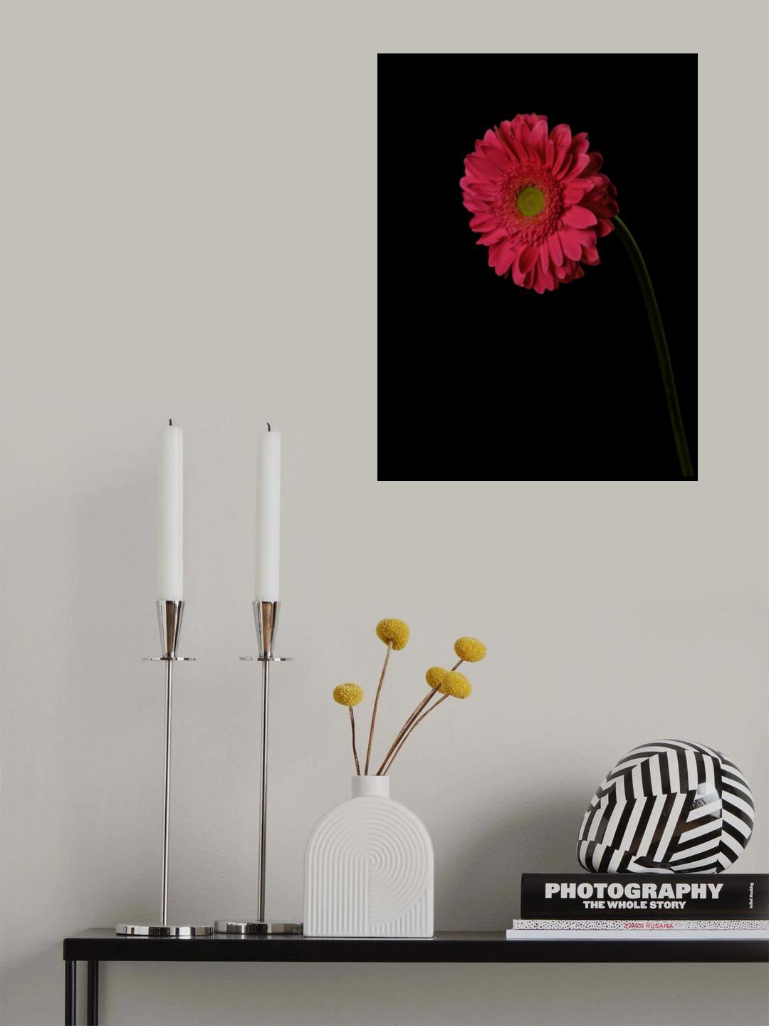 Beautiful flower Poster och Canvastavla