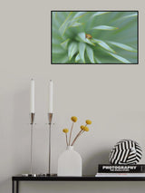 Sheltered from prying eyes... Poster och Canvastavla