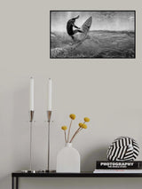 Poster och Canvastavla