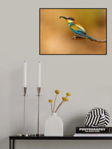 Bee-eater Poster och Canvastavla