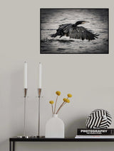 Early bird Poster och Canvastavla