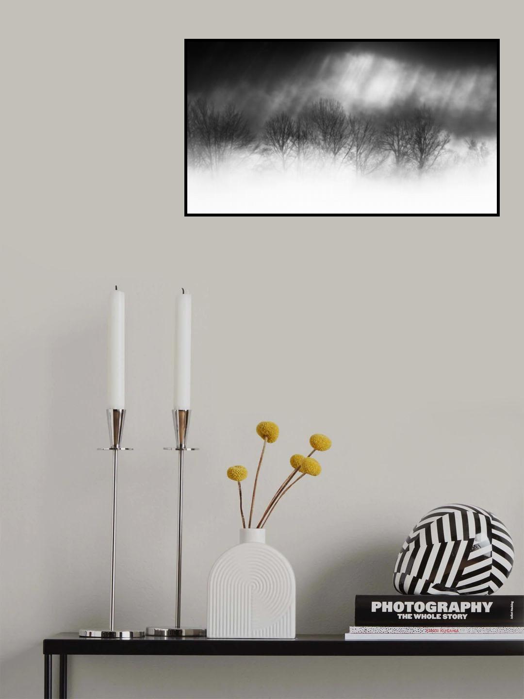 light and shadow Poster och Canvastavla