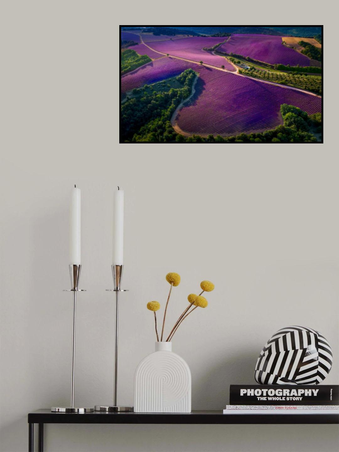 Provence Ultra Purple Poster och Canvastavla