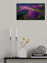 Provence Ultra Purple Poster och Canvastavla