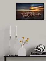 Flocks of flocks at dusk Poster och Canvastavla